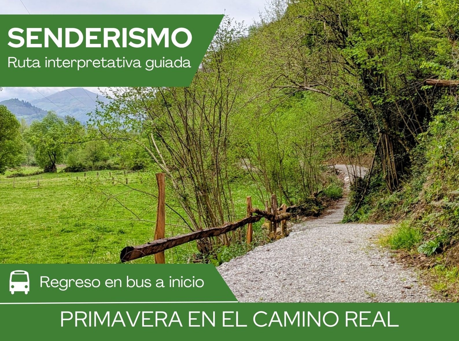 Camino Real Moreda-Soto