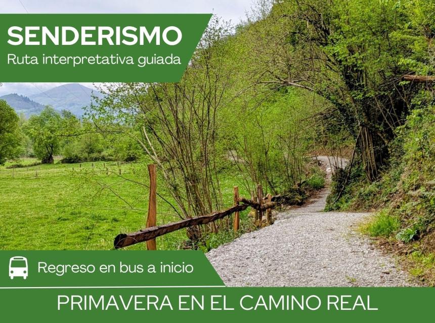 Camino Real Moreda-Soto